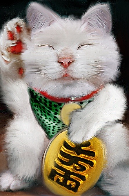 chats