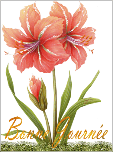 DOMENICA 25 NOVEMBRE Afb2f1be